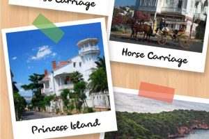 Find Turkey tourism